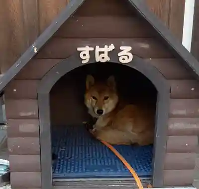 感通寺(東京都)
