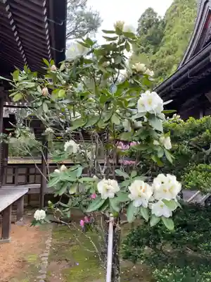 龍泉院(和歌山県)