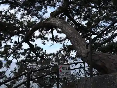 八百富神社(愛知県)