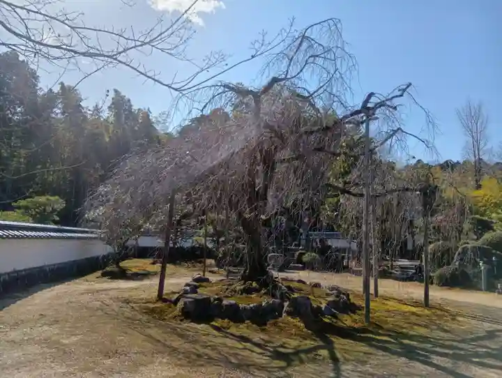 保壽院(保寿院)(岐阜県)