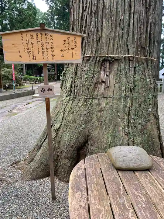 熊野神社の自然