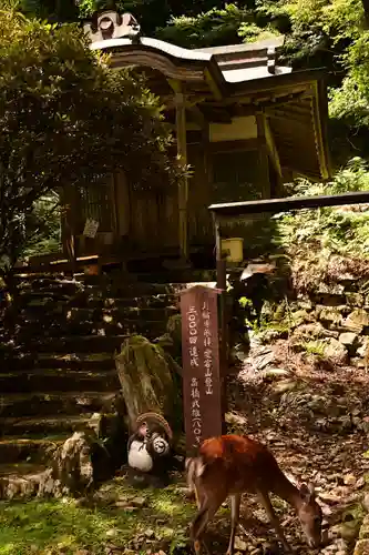 月輪寺(京都府)