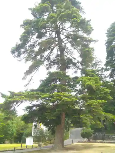和氣神社（和気神社）の自然