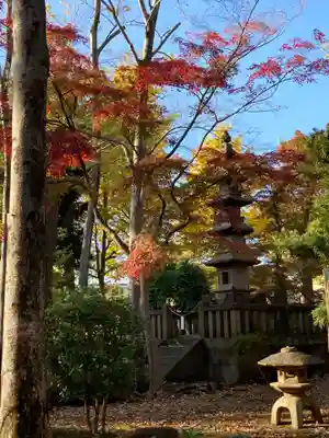 妙法寺(東京都)