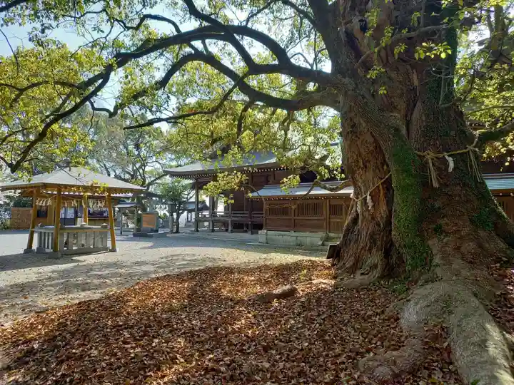 千栗八幡宮の自然