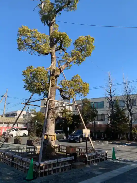 溝口神社の自然
