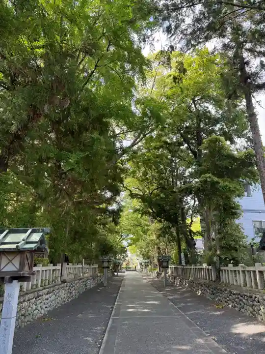 大井神社の{uncategorized: "未分類", other: "その他", undefined: "問題あり", building: "その他建物", grave: "お墓", sacred_gate: "鳥居", guardian: "狛犬", statue: "像", buddha: "仏像", history: "歴史", nature: "自然", garden: "庭園", animal: "動物", pagoda: "塔", temizu: "手水舎", mountain_gate: "山門・神門", sanctuary: "本殿・本堂", subordinate: "末社・摂社", art: "芸術", scenery: "景色", jizo: "地蔵", ema: "絵馬", goshuin: "御朱印", omikuji: "おみくじ", items: "授与品その他", amulet: "お守り", goshuincho: "御朱印帳", eats: "食事", festival: "お祭り", votive_dance: "神楽", shichigosan: "七五三参", wedding: "結婚式", experience: "体験その他", initially: "初詣", around: "周辺", anti_infection: "感染症対策"}