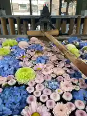 高円寺氷川神社(東京都)