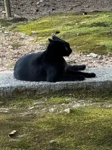 王子神社(徳島県)