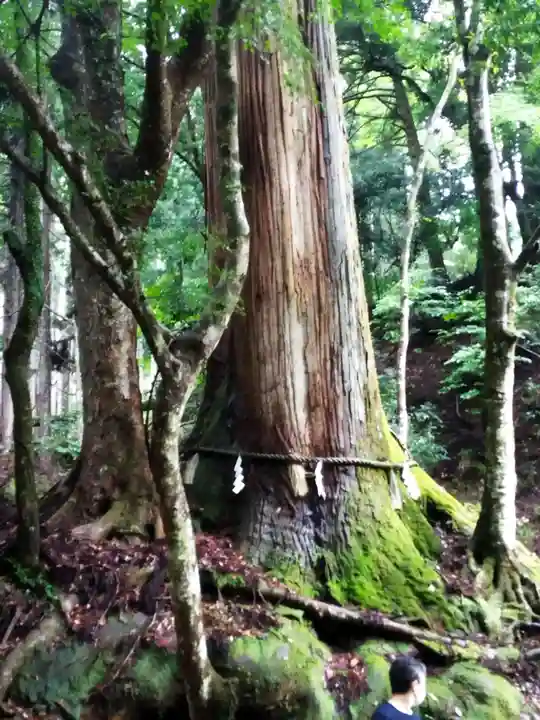 貴船神社(京都府)