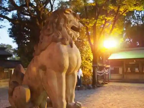 東郷神社の狛犬