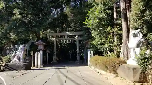 駒木諏訪神社の鳥居