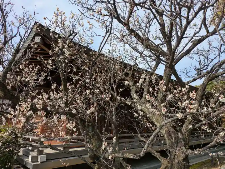 城南宮(京都府)