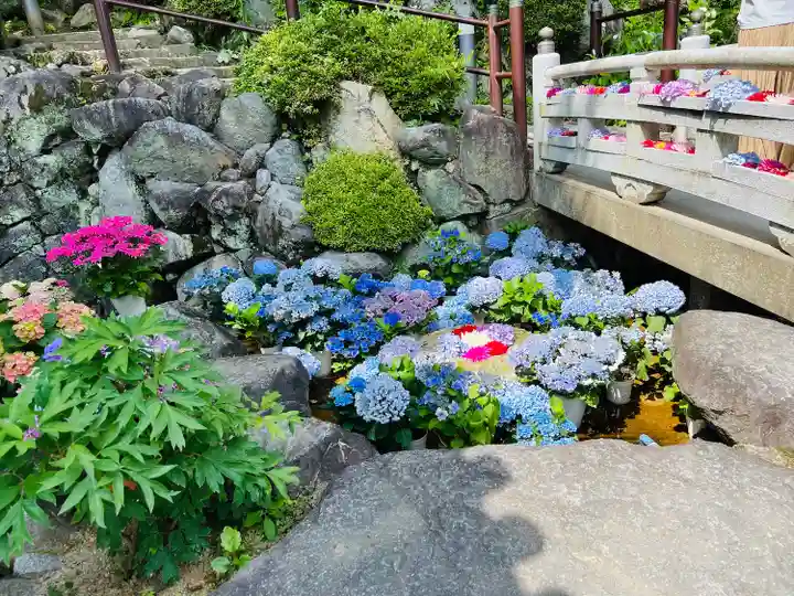 岡寺(龍蓋寺)(奈良県)