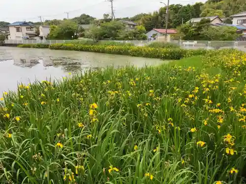 厳島神社の自然