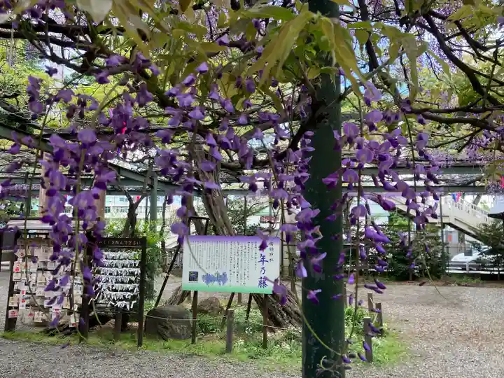 國領神社(東京都)