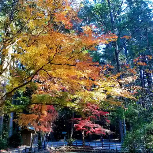 小國神社の自然