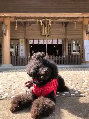 黒髪神社の本殿・本堂