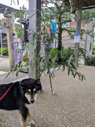 日本唯一香辛料の神　波自加彌神社の御朱印