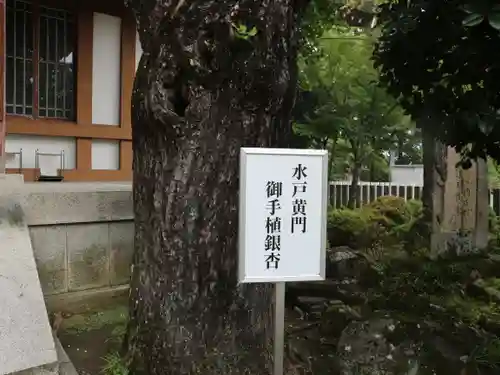 多田神社の自然