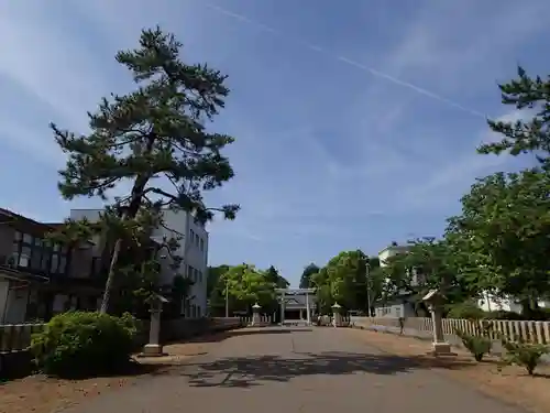 福井県護国神社の鳥居