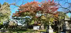 相馬小高神社(福島県)