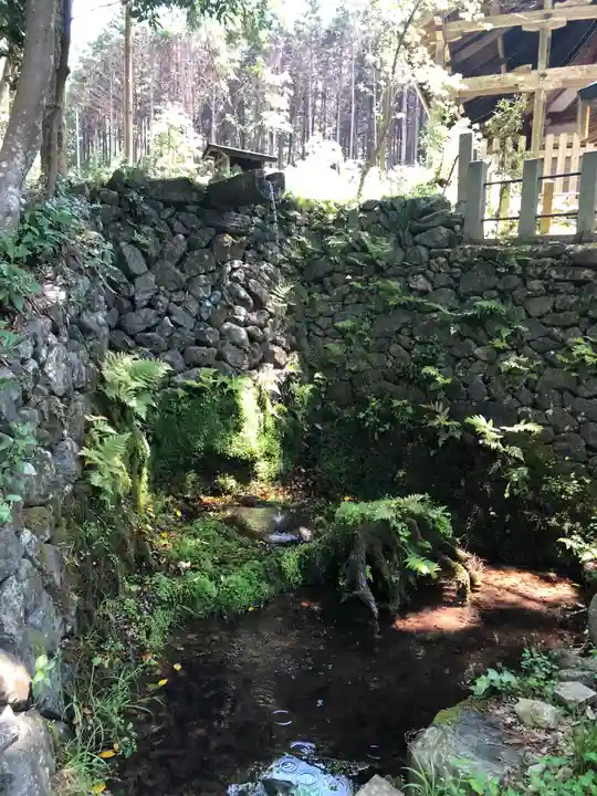 愛宕神社(阿多古神社)の自然