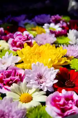 伊達神社(北海道)