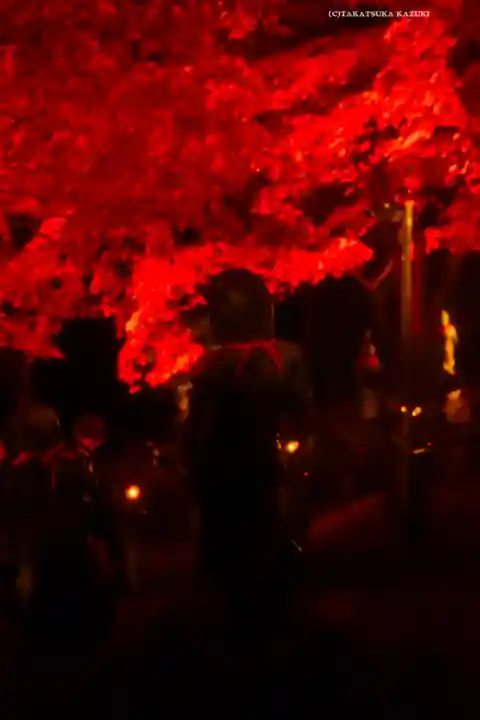 大山寺(神奈川県)