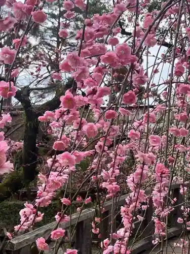 北野天満宮(京都府)