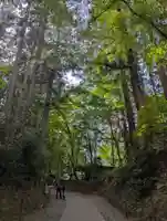 中尊寺(岩手県)