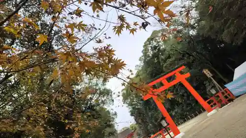 賀茂御祖神社（下鴨神社）(京都府)