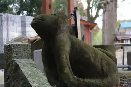 阿久津「田村神社」（郡山市阿久津町）旧社名：伊豆箱根三嶋三社の狛犬