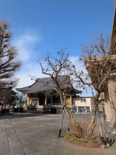 福王山  慈眼寺(東京都)