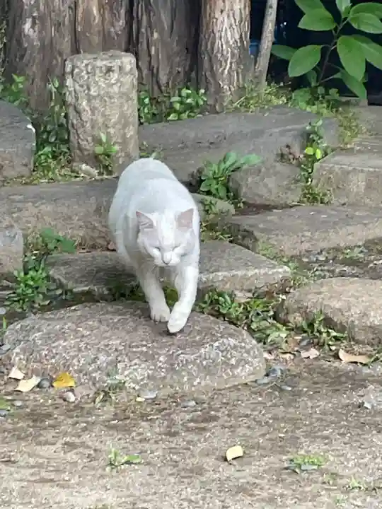 久國神社(東京都)