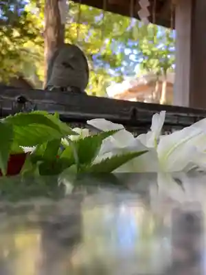 新琴似神社の手水舎