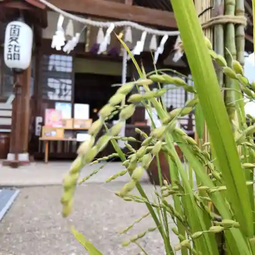 七重浜海津見神社(北海道)