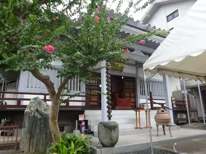 法妙寺の本殿・本堂