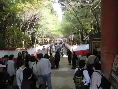 醍醐寺(京都府)