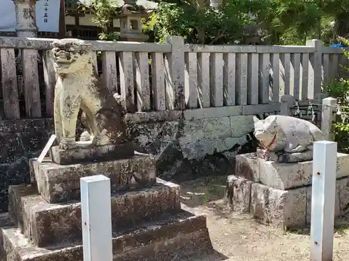 三田天満宮の狛犬