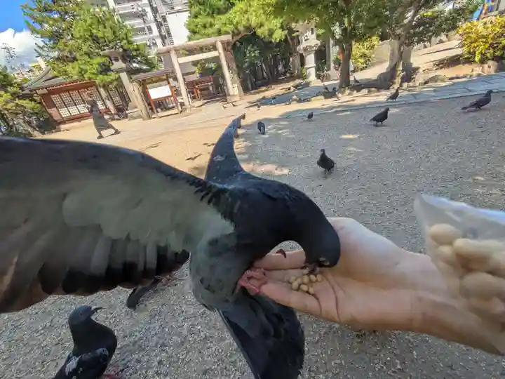 四柱神社(長野県)