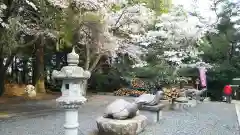 亀岡八幡宮の狛犬