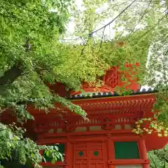 金剛宝寺（紀三井寺）(和歌山県)