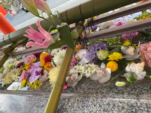 生田神社(兵庫県)