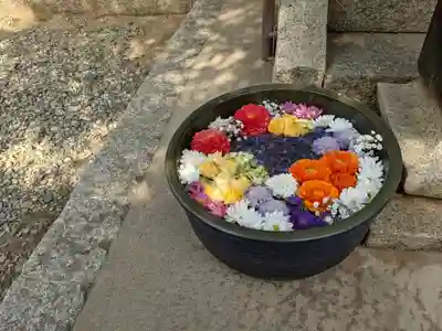 山﨑八幡宮の手水舎