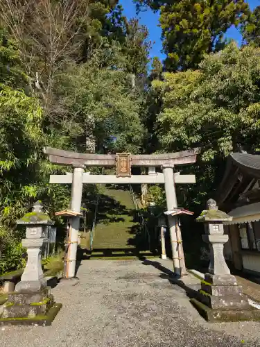 埴生護國八幡宮の{uncategorized: "未分類", other: "その他", undefined: "問題あり", building: "その他建物", grave: "お墓", sacred_gate: "鳥居", guardian: "狛犬", statue: "像", buddha: "仏像", history: "歴史", nature: "自然", garden: "庭園", animal: "動物", pagoda: "塔", temizu: "手水舎", mountain_gate: "山門・神門", sanctuary: "本殿・本堂", subordinate: "末社・摂社", art: "芸術", scenery: "景色", jizo: "地蔵", ema: "絵馬", goshuin: "御朱印", omikuji: "おみくじ", items: "授与品その他", amulet: "お守り", goshuincho: "御朱印帳", eats: "食事", festival: "お祭り", votive_dance: "神楽", shichigosan: "七五三参", wedding: "結婚式", experience: "体験その他", initially: "初詣", around: "周辺", anti_infection: "感染症対策"}