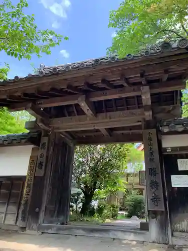 勝持寺（花の寺）の山門・神門