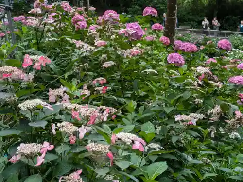 二本松寺(茨城県)