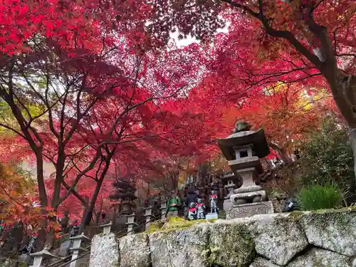 大山寺(神奈川県)