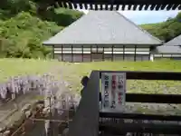 長泉寺の山門・神門